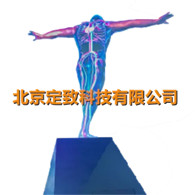 人体构造